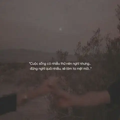 những câu nói hay về bóng tối những câu nói hay về bóng tối