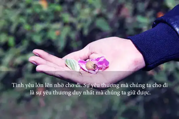 câu nói hay về chia sẻ yêu thương câu nói hay về chia sẻ yêu thương