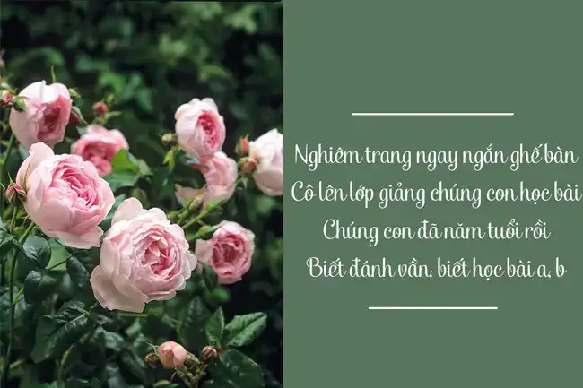 những câu nói hay về cô giáo những câu nói hay về cô giáo