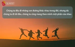 những câu nói hay về con đường đi