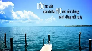 những câu nói hay về hành động