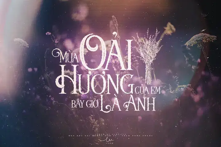 những câu nói hay về hoa oải hương