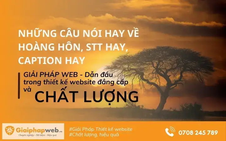 những câu nói hay về hòn đá những câu nói hay về hòn đá