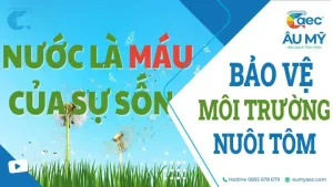 những câu nói hay về khẩu nghiệp