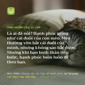 những câu nói hay về mèo