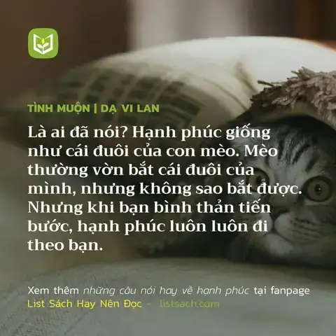 những câu nói hay về mèo