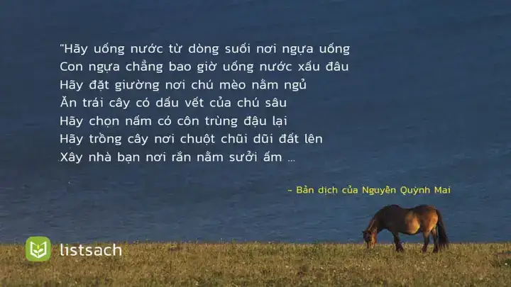 câu nói hay về ngựa câu nói hay về ngựa