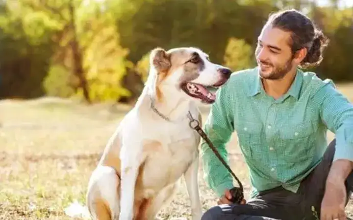 những câu nói hay về người và chó