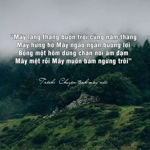 câu nói hay về núi rừng câu nói hay về núi rừng