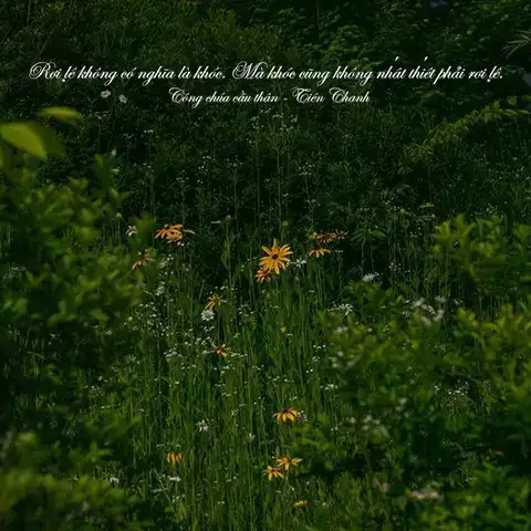 những câu nói hay về nước mắt đàn ông