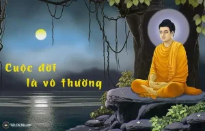 những câu nói hay về sinh lão bệnh tử