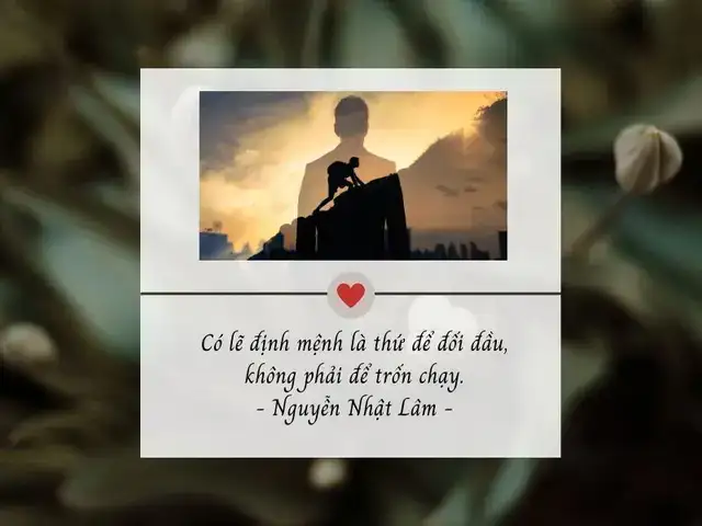 câu nói hay về số phận con người câu nói hay về số phận con người