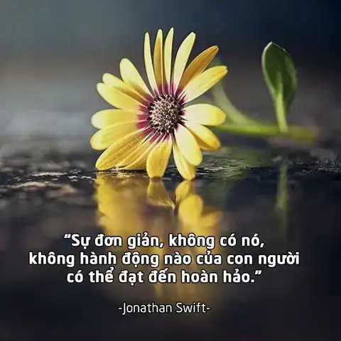 những câu nói hay về sự hoàn hảo những câu nói hay về sự hoàn hảo