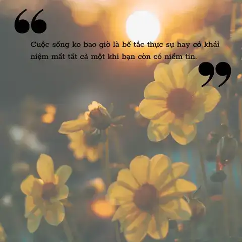 những câu nói hay về sự hơn thua những câu nói hay về sự hơn thua