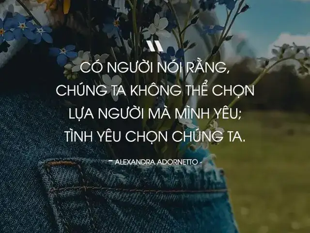 câu nói hay về sự lựa chọn trong tình yêu câu nói hay về sự lựa chọn trong tình yêu