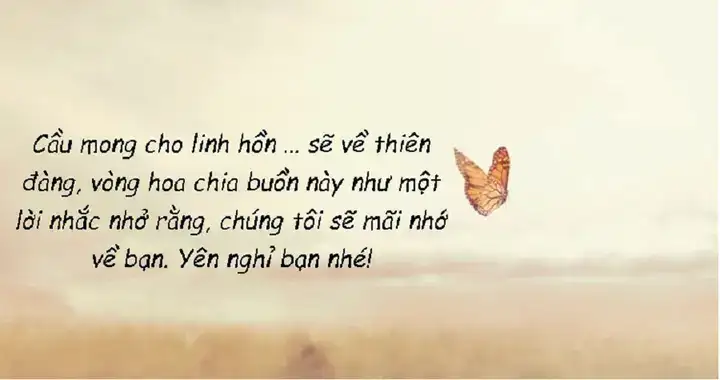 những câu nói hay về sự ra đi