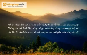 những câu nói hay về sự sỉ nhục