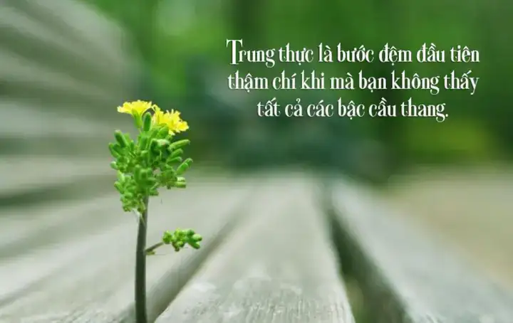 những câu nói hay về sự thật thà những câu nói hay về sự thật thà