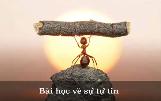 những câu nói hay về sự tự tin thái quá