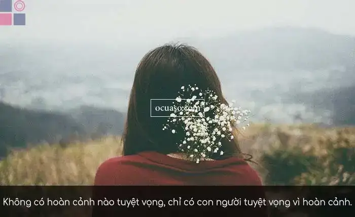 những câu nói hay về sự tuyệt vọng những câu nói hay về sự tuyệt vọng