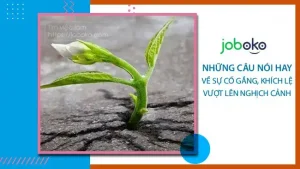 những câu nói hay về sự vượt khó