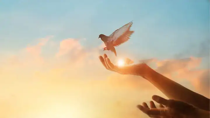 những câu nói hay về tâm đức những câu nói hay về tâm đức