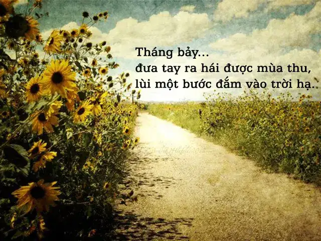 những câu nói hay về tháng 7 những câu nói hay về tháng 7