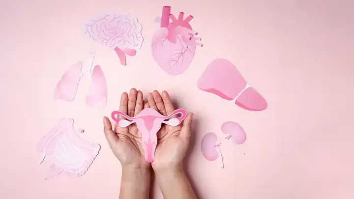 những câu nói hay về thú cưng những câu nói hay về thú cưng