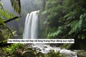 những câu nói hay về thức khuya