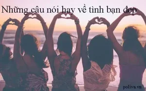 những câu nói hay về tình bạn dối trá