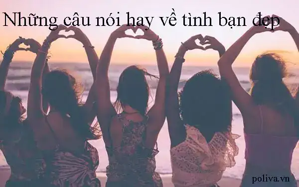 những câu nói hay về tình bạn dối trá những câu nói hay về tình bạn dối trá