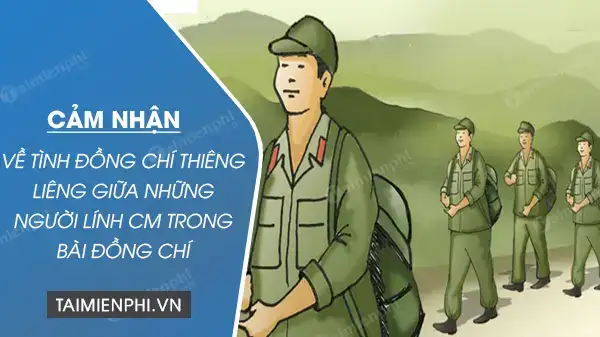 những câu nói hay về tình đồng chí những câu nói hay về tình đồng chí