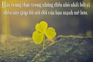 những câu nói hay về tình dục
