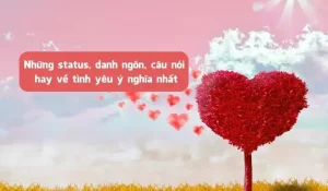 những câu nói hay về tình yêu les