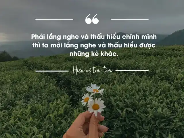 câu nói hay về trái tim