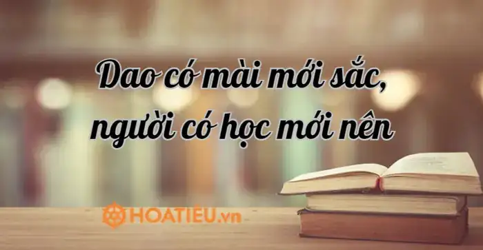 câu nói về truyền thống hiếu học câu nói về truyền thống hiếu học