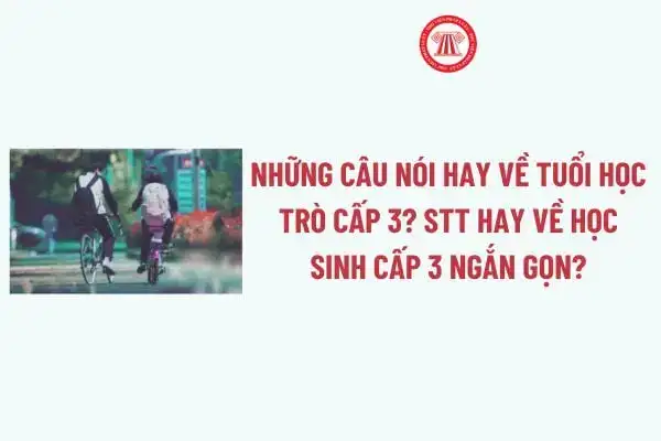 những câu nói hay về tuổi học trò cấp 2 những câu nói hay về tuổi học trò cấp 2