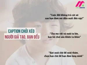 những câu nói hay về xoài