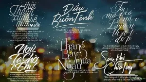 câu nói hay viết chữ lên ảnh