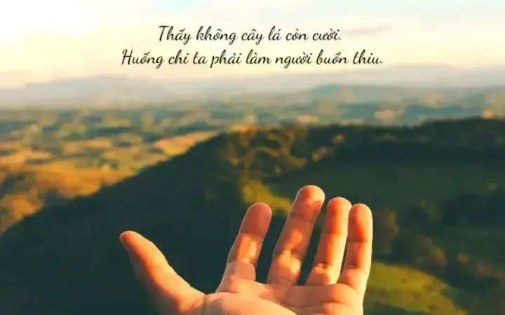 những câu nói lạc quan hài hước những câu nói lạc quan hài hước