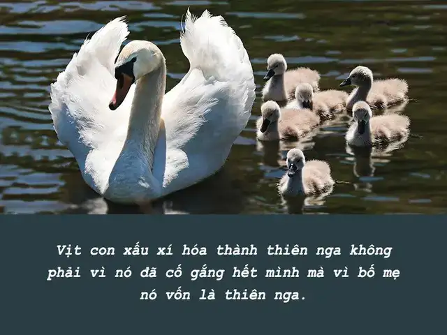 những câu nói phũ nhưng thật những câu nói phũ nhưng thật