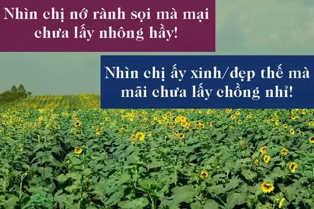 những câu nói tiếng nghệ an