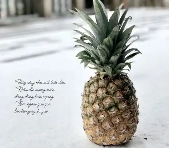 những câu nói từ bỏ cuộc chơi