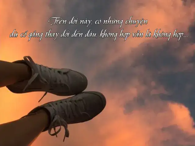 câu nói về đôi chân câu nói về đôi chân