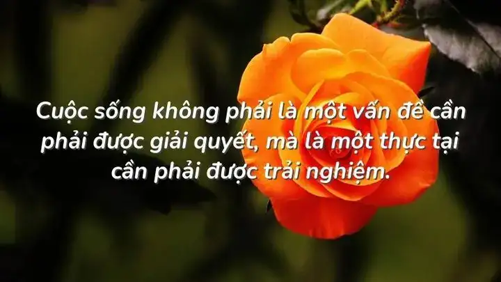 những câu nói về kinh nghiệm sống những câu nói về kinh nghiệm sống