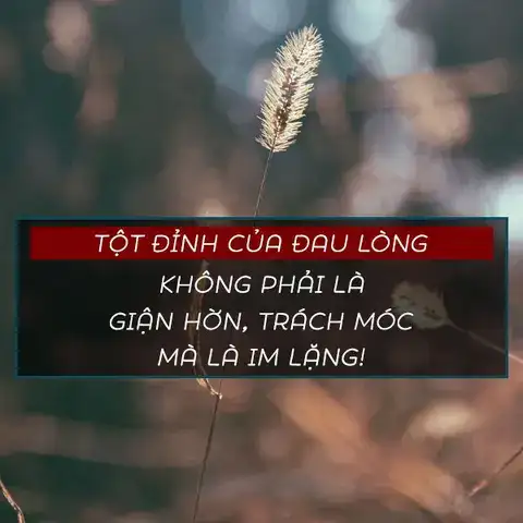 những câu nói về sự im lặng trong cuộc sống những câu nói về sự im lặng trong cuộc sống
