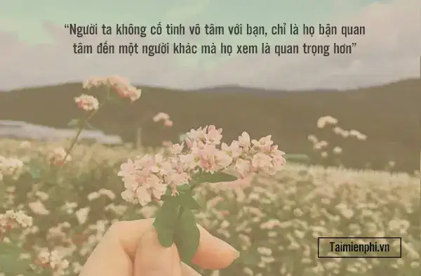 câu nói về sự vô cảm