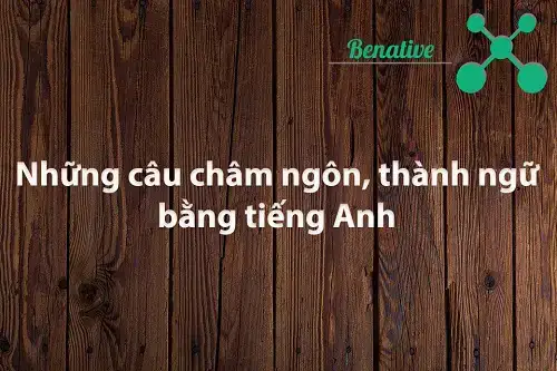những câu nói về thành công bằng tiếng anh những câu nói về thành công bằng tiếng anh