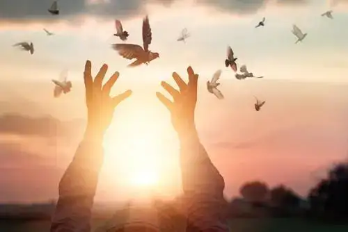 những câu nói hay về lòng khoan dung những câu nói hay về lòng khoan dung