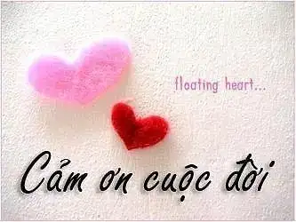 câu nói hay trên ola câu nói hay trên ola